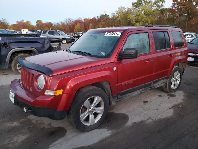 jeep patriot sp 2011 1j4nf1gb7bd126878