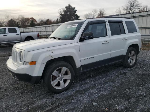 jeep patriot sp 2011 1j4nf1gb7bd156625