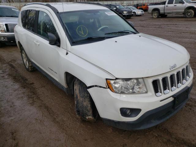 jeep compass 2011 1j4nf4fb5bd275342