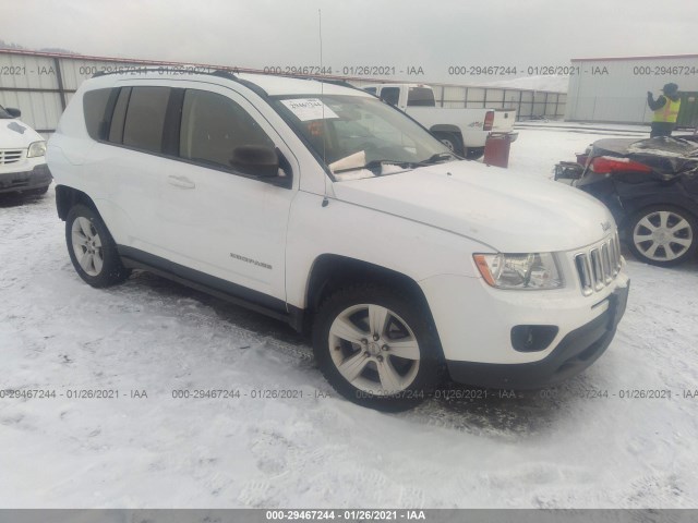 jeep compass 2011 1j4nt1fb1bd236285