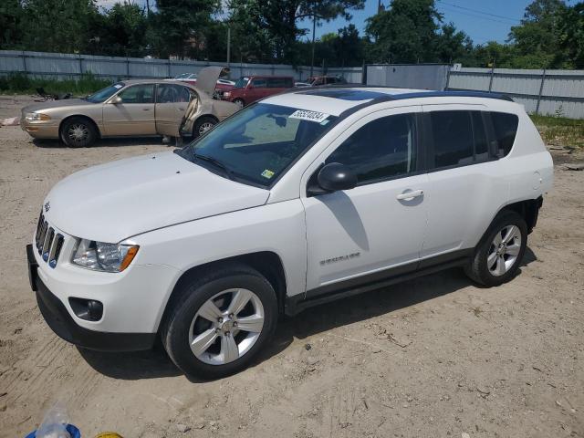 jeep compass 2011 1j4nt1fb6bd171305