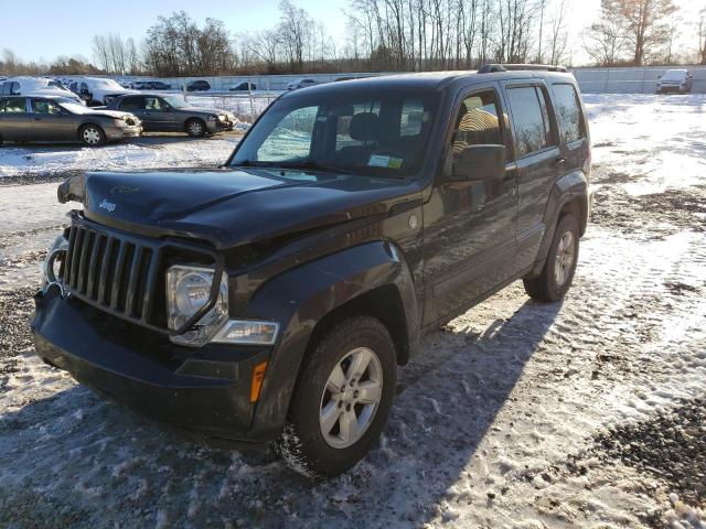 jeep liberty sp 2011 1j4pn2gk1bw503212