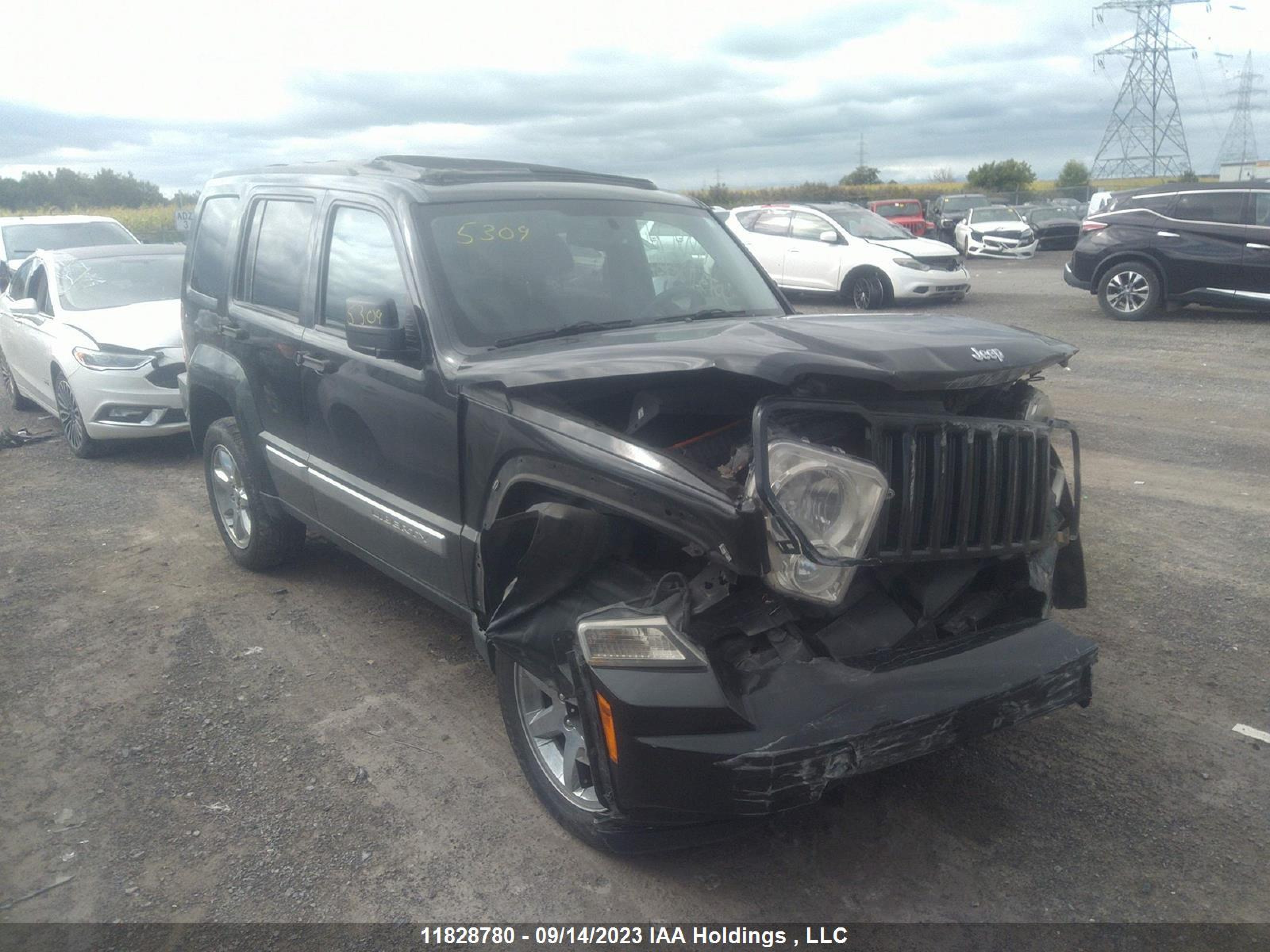 jeep liberty (north america) 2010 1j4pn5gk2aw124560