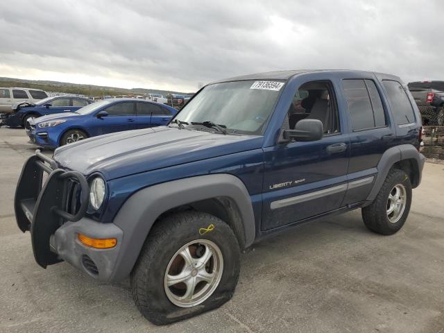 jeep liberty sp 2002 1j8gk48k22w272970