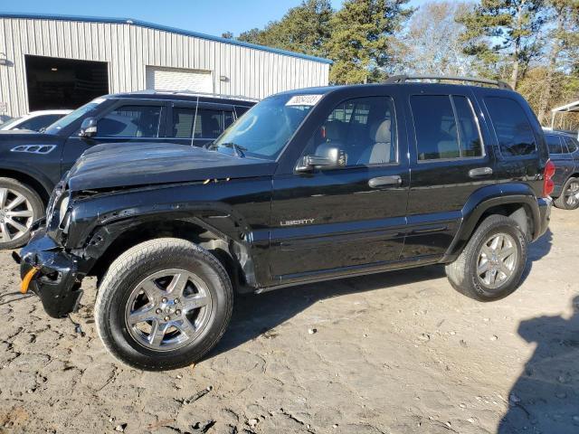 jeep liberty 2004 1j8gk58k64w115600