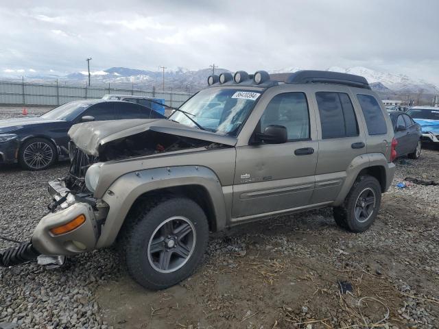 jeep liberty re 2003 1j8gl38k43w602276