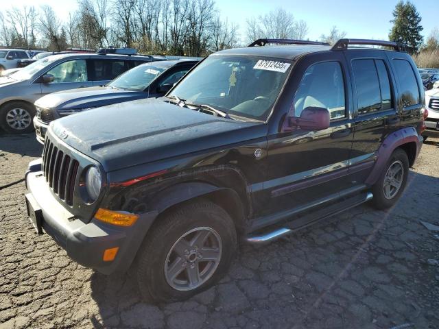 jeep liberty re 2006 1j8gl38k66w157057