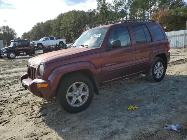 jeep liberty li 2003 1j8gl58k03w666603