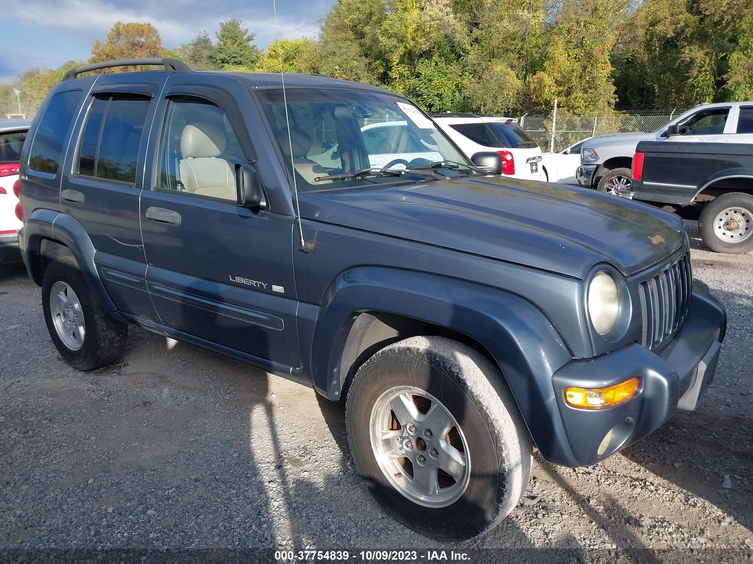 jeep liberty (north america) 2002 1j8gl58k12w245441