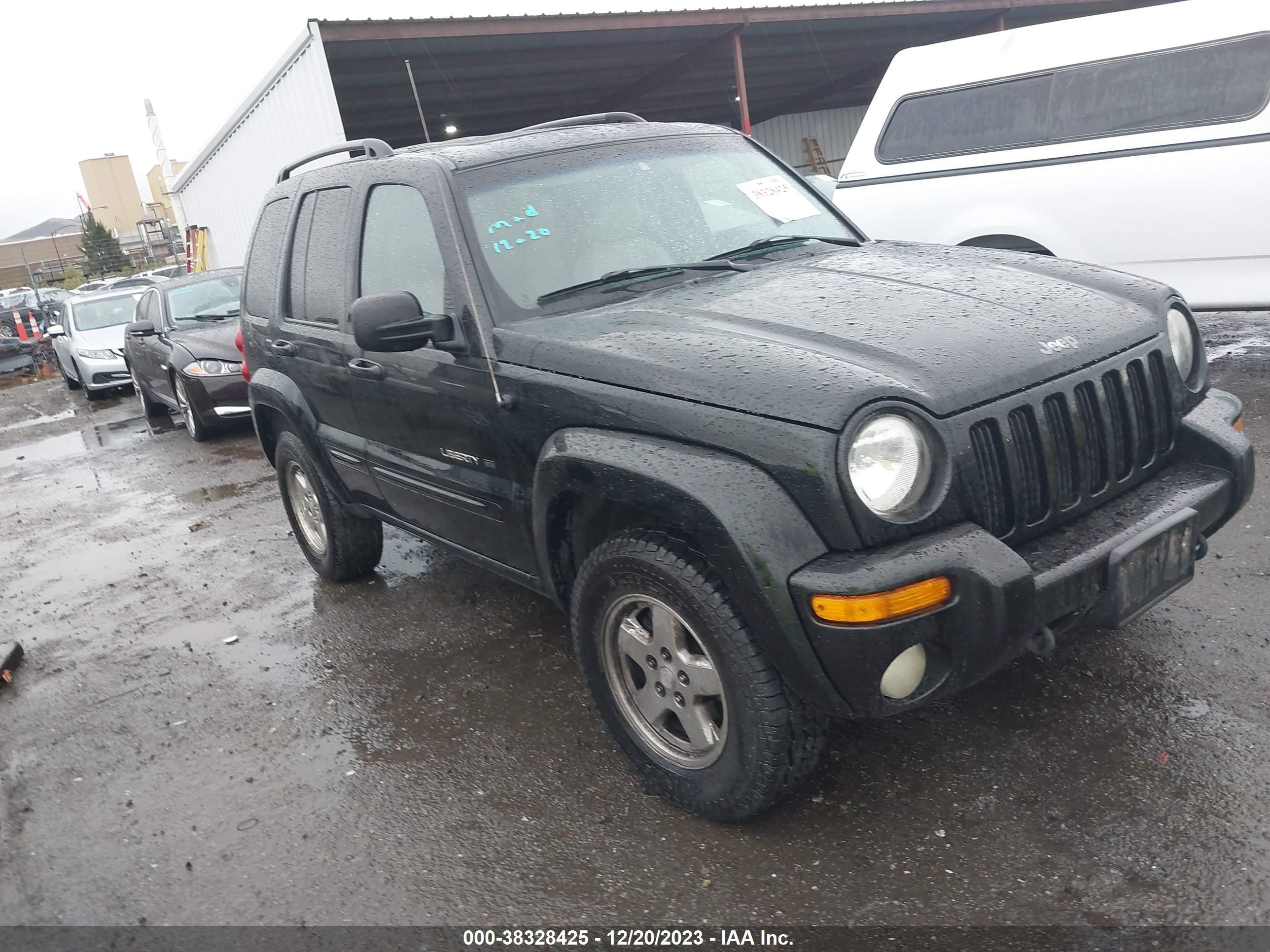 jeep liberty (north america) 2002 1j8gl58k22w331227