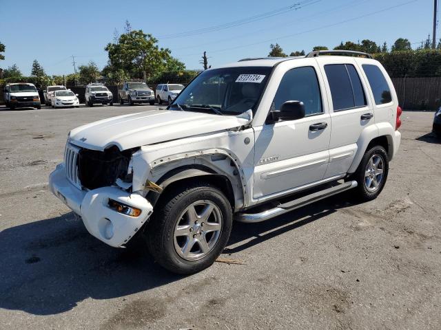 jeep liberty 2004 1j8gl58k24w268388