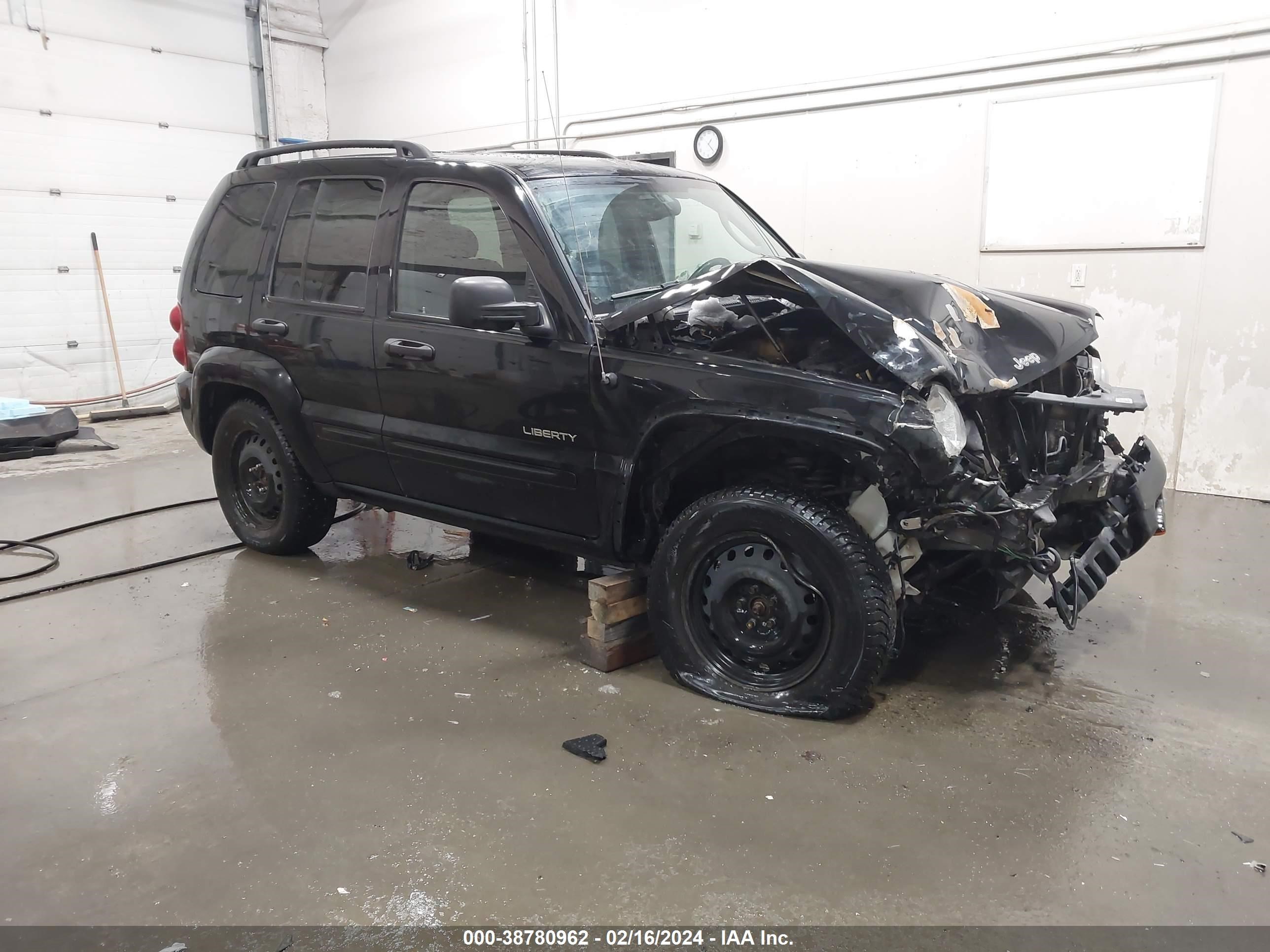 jeep liberty (north america) 2004 1j8gl58k44w216521