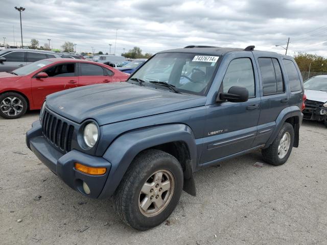 jeep liberty li 2002 1j8gl58k52w184255