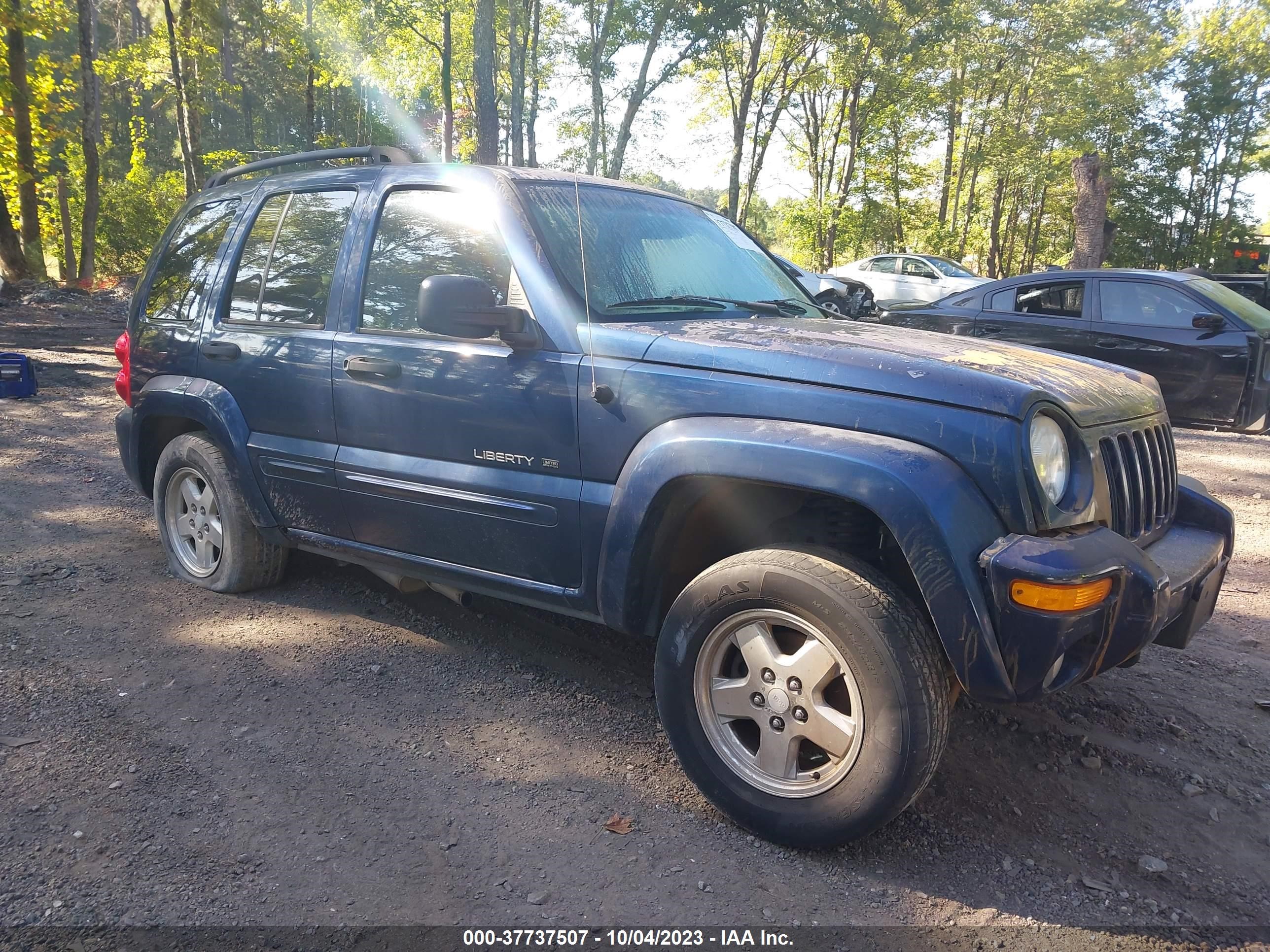 jeep liberty (north america) 2002 1j8gl58k72w300409