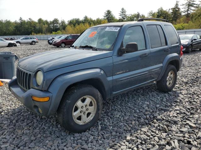 jeep liberty li 2002 1j8gl58k82w254749