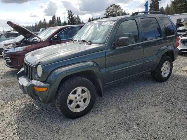 jeep liberty li 2002 1j8gl58k82w298377