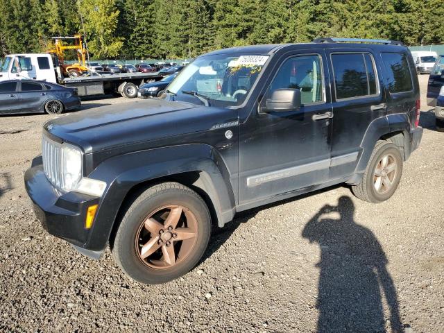 jeep liberty li 2008 1j8gn58k28w141821