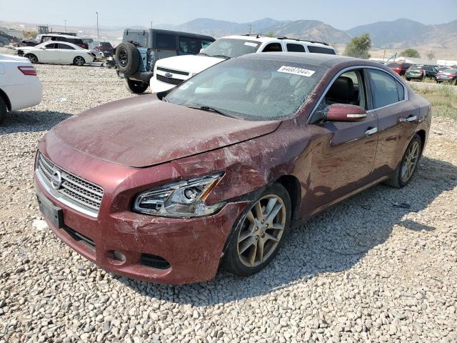 nissan maxima 2009 1n4aa51ex9c821889