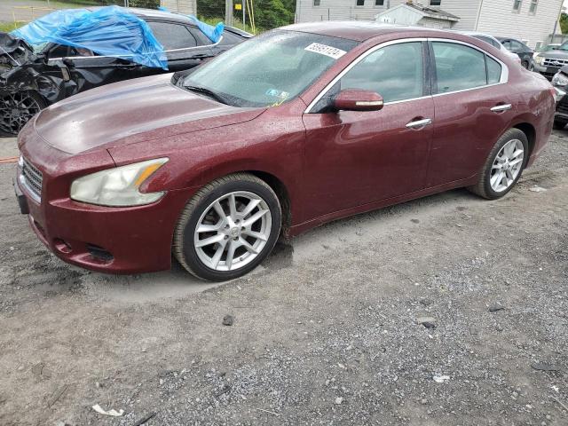 nissan maxima 2009 1n4aa51ex9c832892