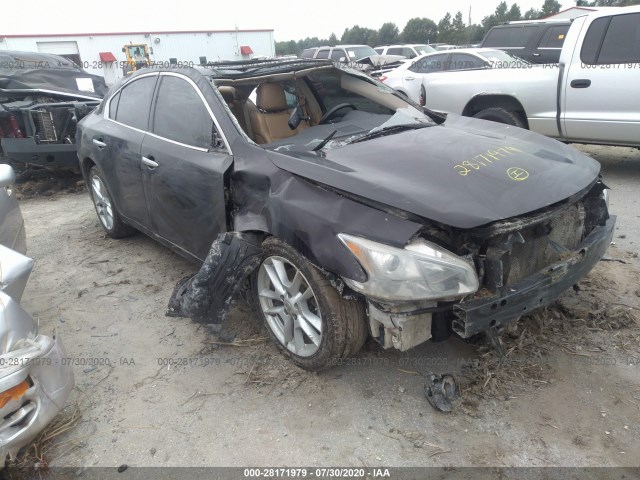 nissan maxima 2010 1n4aa5ap0ac822006