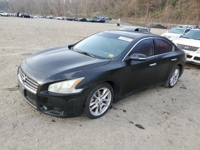 nissan maxima 2010 1n4aa5ap0ac823706