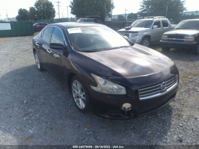 nissan maxima 2010 1n4aa5ap0ac836844