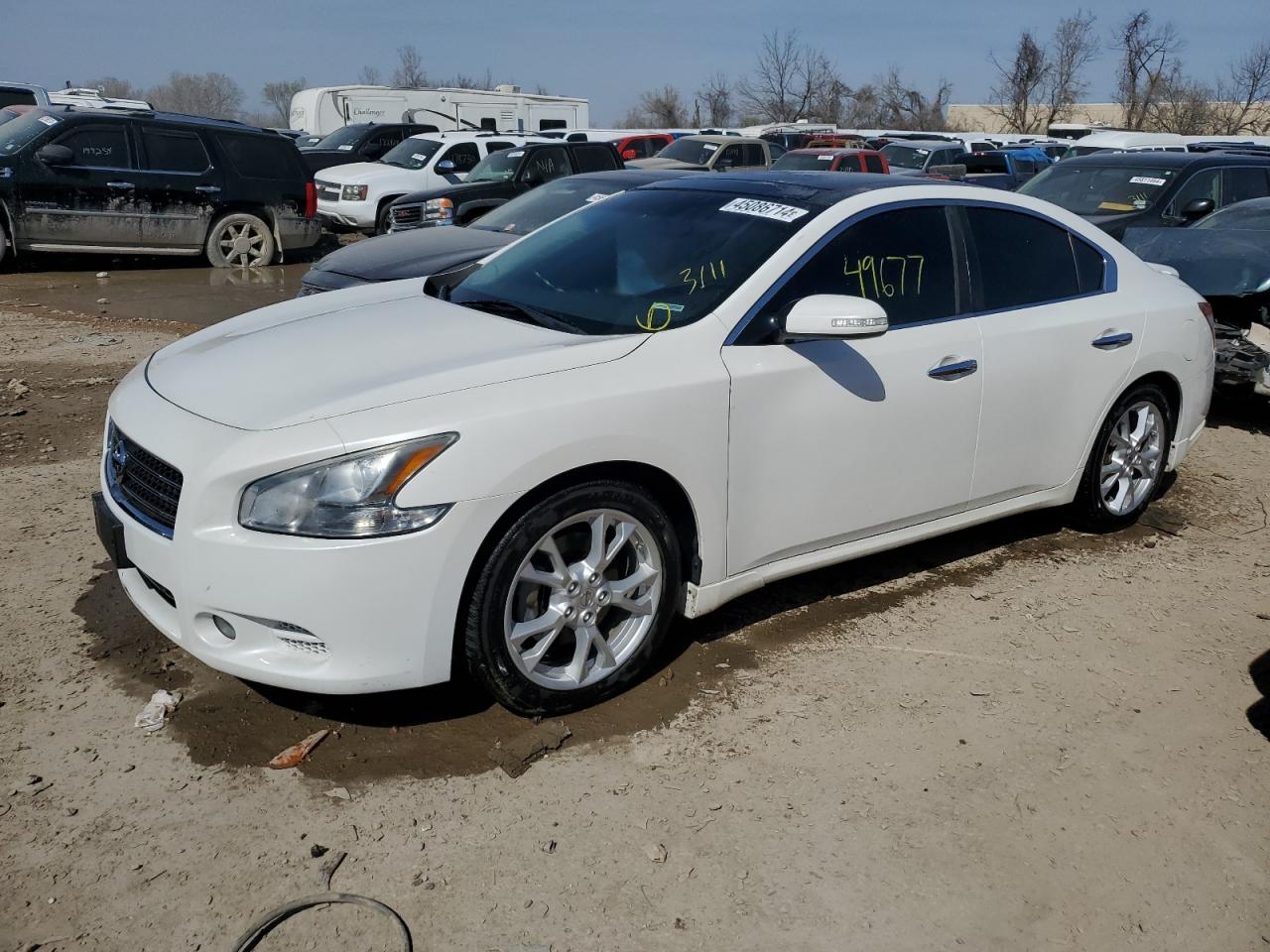 nissan maxima 2010 1n4aa5ap0ac849660