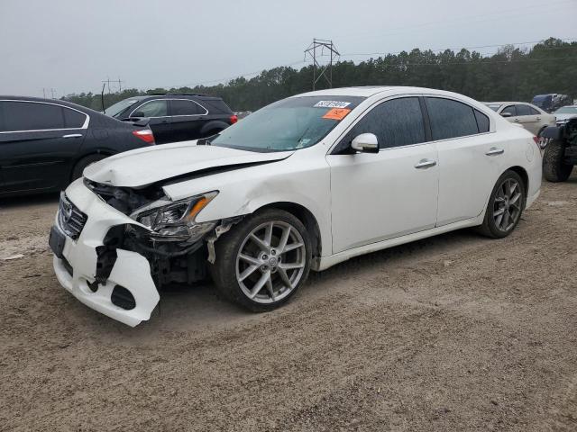 nissan maxima 2010 1n4aa5ap0ac850291