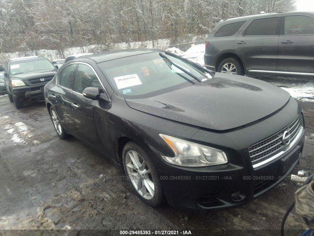 nissan maxima 2011 1n4aa5ap1bc855159