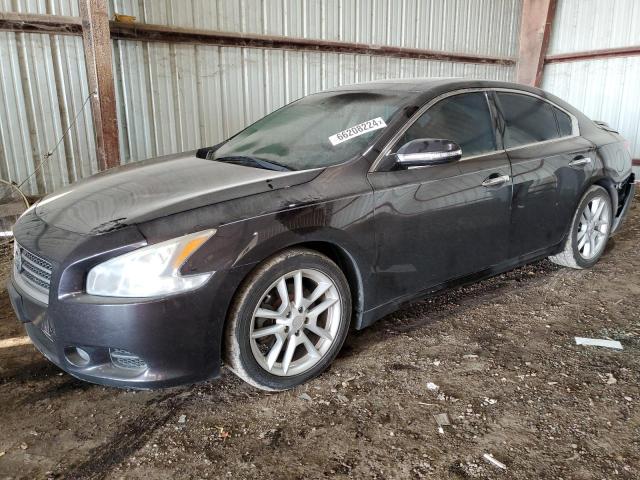 nissan maxima s 2010 1n4aa5ap2ac849059