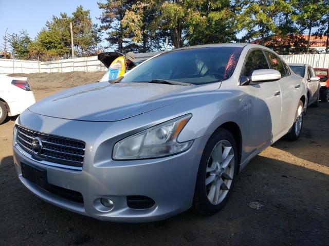 nissan maxima 2010 1n4aa5ap2ac864970