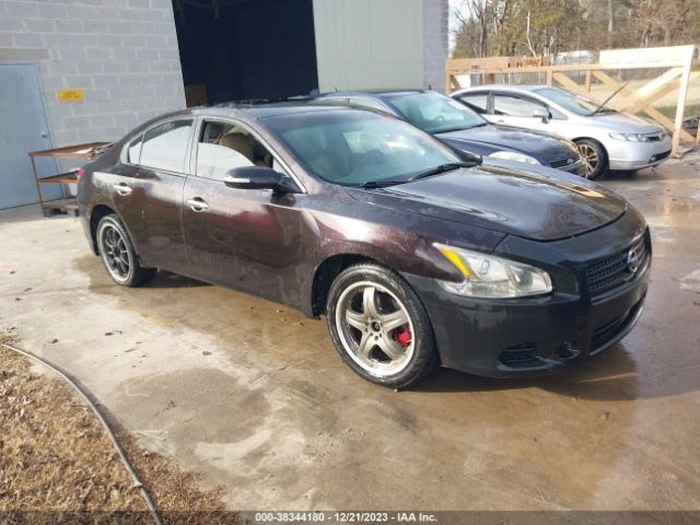 nissan maxima 2010 1n4aa5ap2ac874933