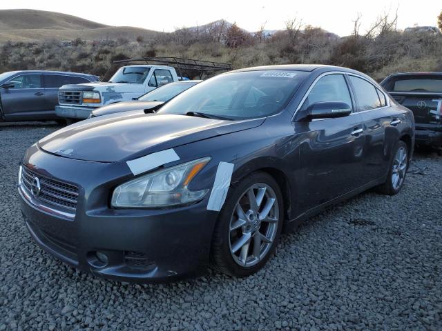 nissan maxima 2010 1n4aa5ap3ac800632