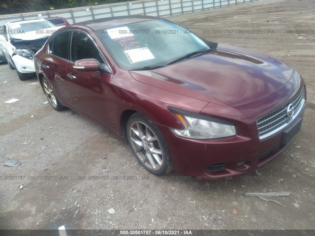 nissan maxima 2010 1n4aa5ap3ac809041