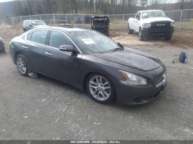 nissan maxima 2010 1n4aa5ap3ac811145