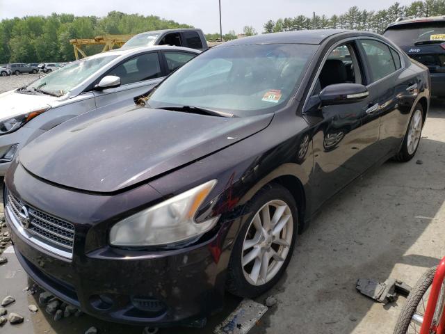 nissan maxima 2010 1n4aa5ap3ac818273