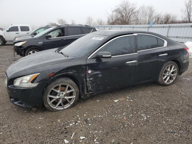 nissan maxima 2010 1n4aa5ap3ac841603