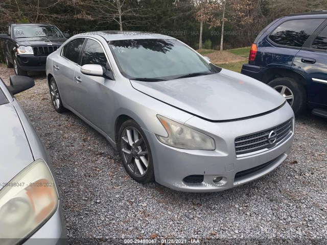 nissan maxima 2010 1n4aa5ap3ac841911