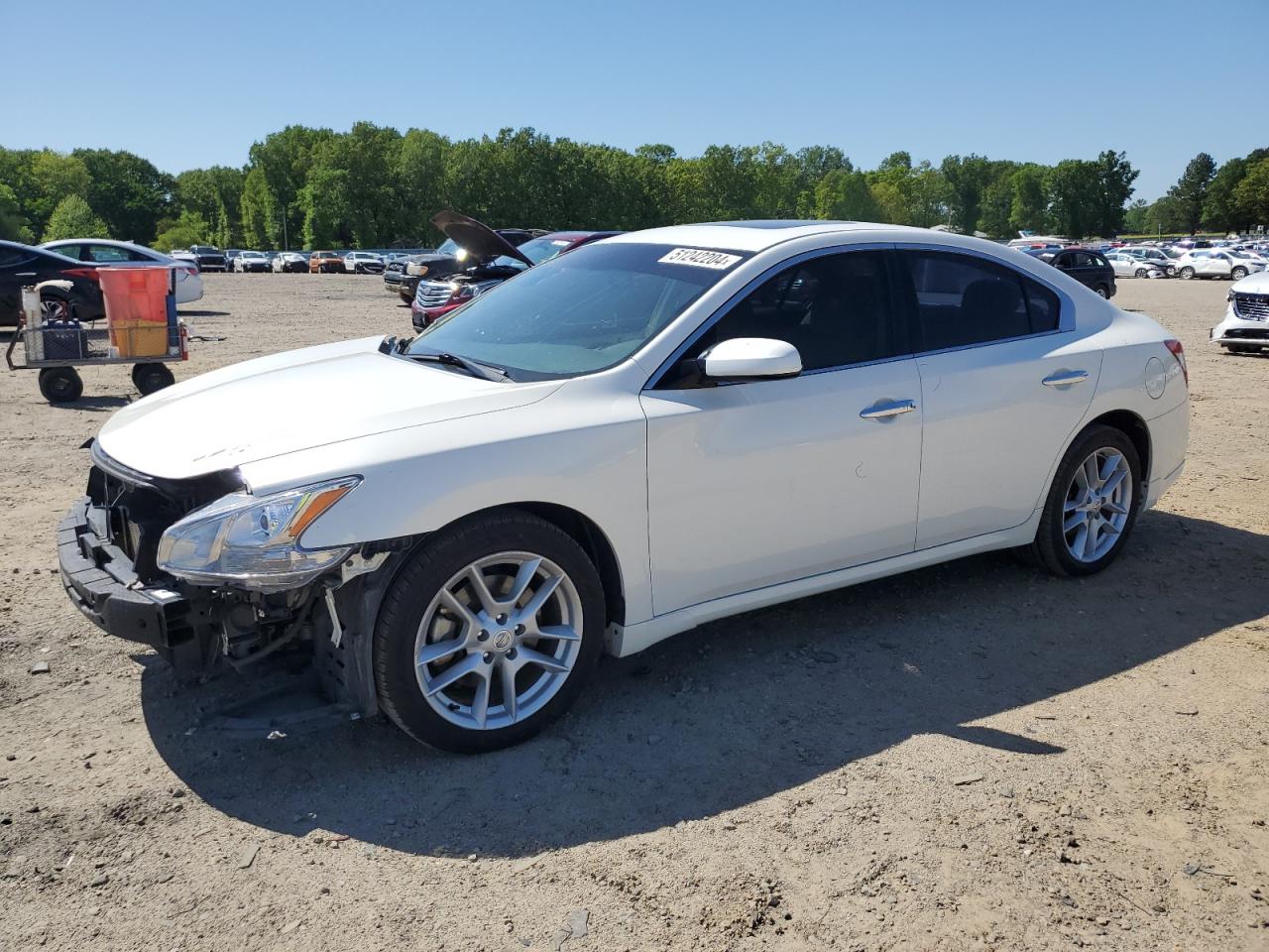 nissan maxima 2010 1n4aa5ap3ac851984