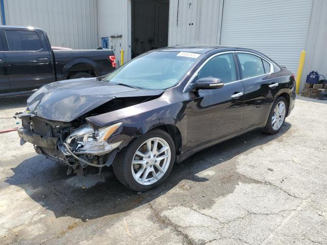 nissan maxima 2010 1n4aa5ap3ac852665