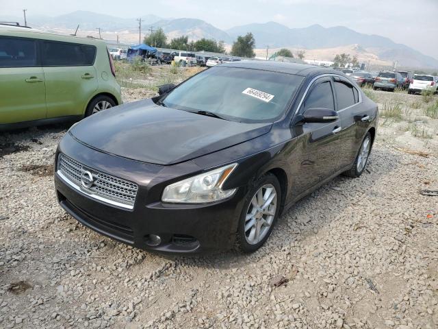 nissan maxima 2011 1n4aa5ap3bc852652