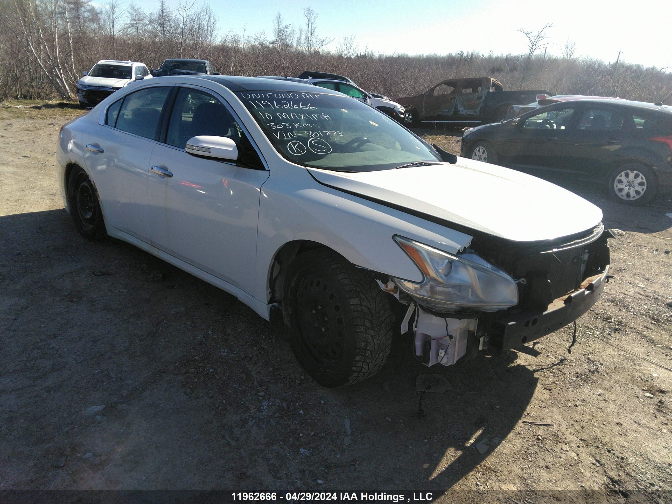 nissan maxima 2010 1n4aa5ap4ac801773