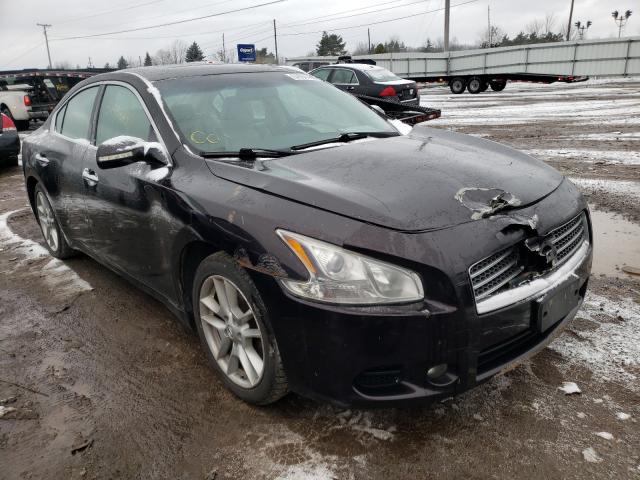 nissan maxima 2010 1n4aa5ap4ac801854