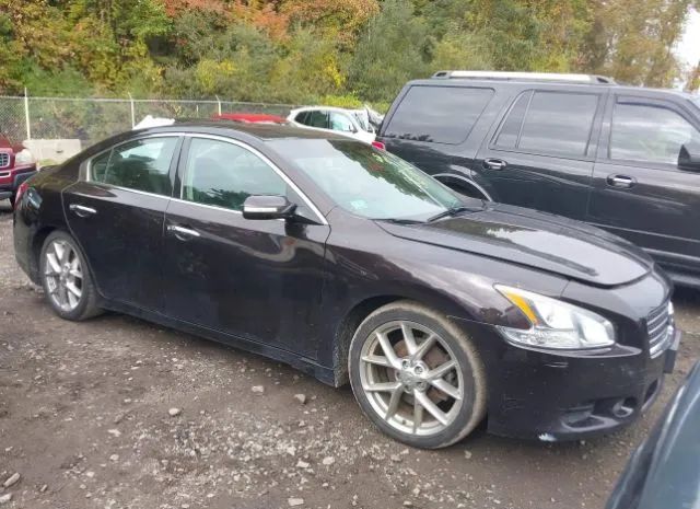 nissan  2010 1n4aa5ap4ac810117