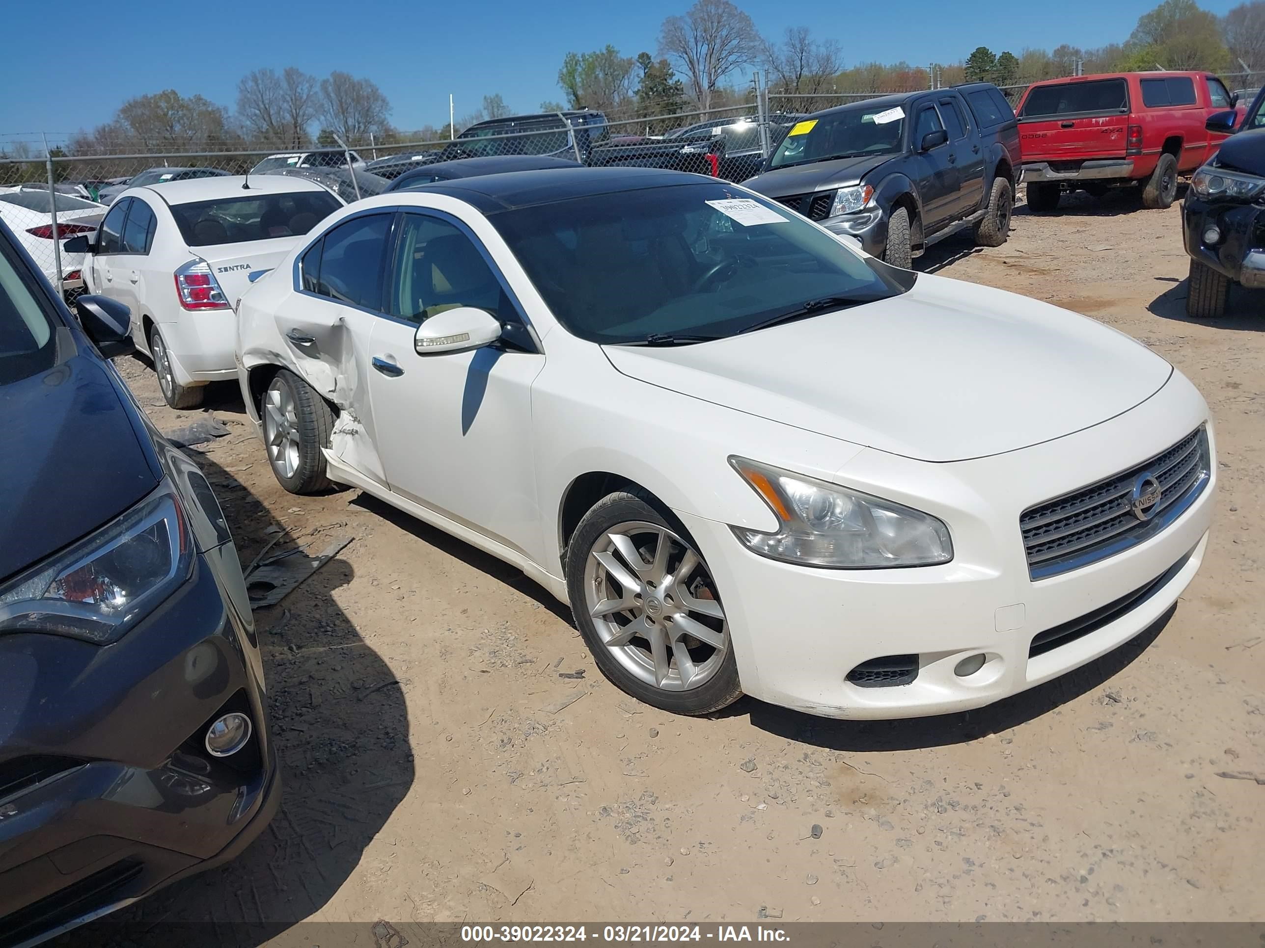 nissan maxima 2010 1n4aa5ap4ac816080