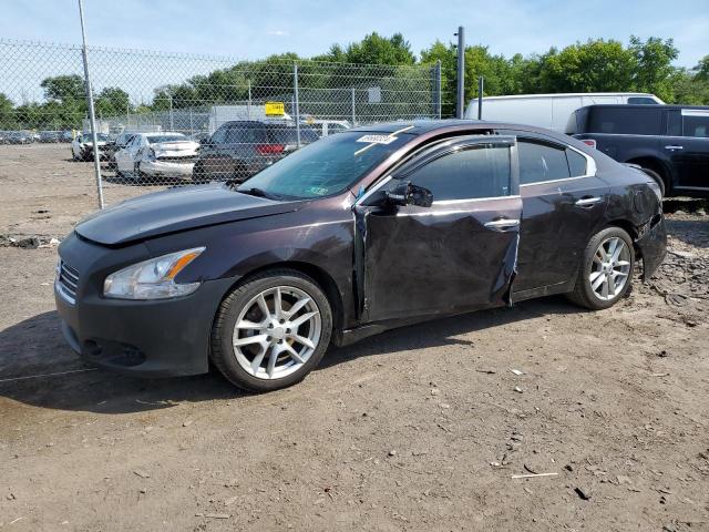 nissan maxima 2010 1n4aa5ap4ac846356