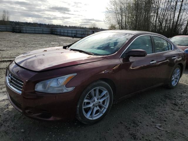 nissan maxima 2010 1n4aa5ap4ac850553