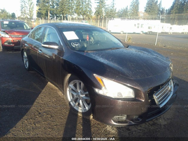 nissan maxima 2010 1n4aa5ap4ac860113