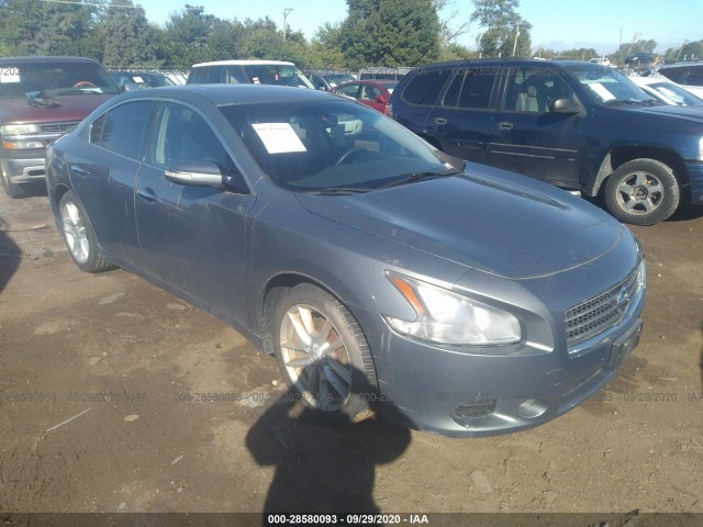 nissan maxima 2010 1n4aa5ap4ac875324