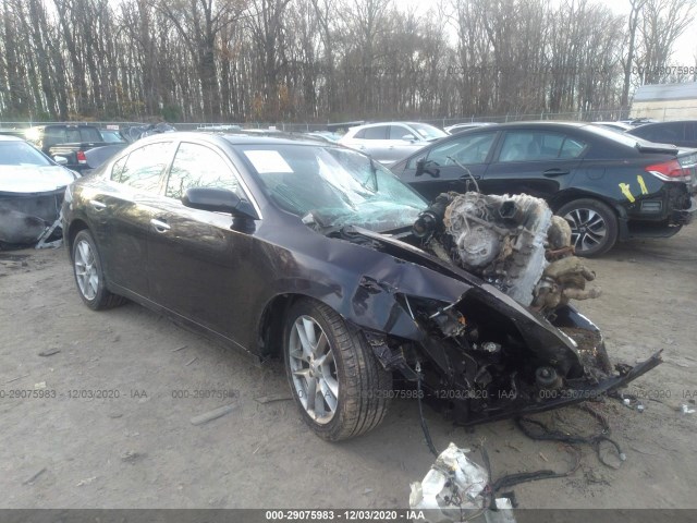 nissan maxima 2011 1n4aa5ap4bc807445